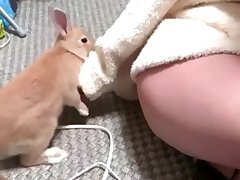 Dog Porn Hard
