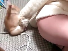 Dog Porn Hard