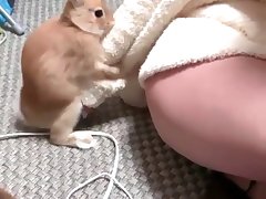 Dog Porn Hard