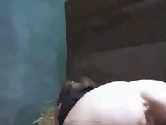 The Dog Porn