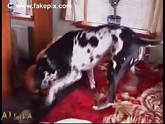 Free Download Animal Sex