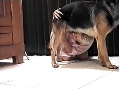 Zoo Porn Hypno