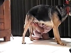 Zoo Porn Hypno
