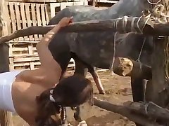 Spain Legalized Animal Sex