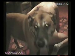 Lesbians Dog Porn