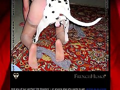 Man And Dog Porn Animation