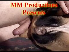 Amateur Dog Porn 2024