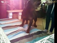 Motherless Dog Porn