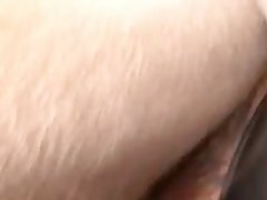 Ssbbw Dog Porn