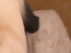 Ssbbw Dog Porn