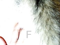 Fantazi Art Of Zoo