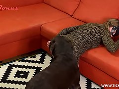 Kc Dog Porn
