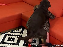 Kc Dog Porn