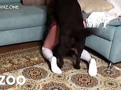 Quality Dog Porn