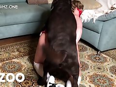 Quality Dog Porn