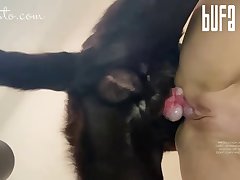 Dry Humping Dog Porn