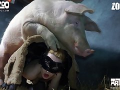 Zoophilie Sex Geschichte