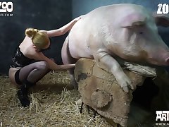 Zoophilie Sex Geschichte