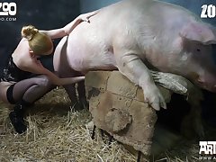 Zoophilie Sex Geschichte