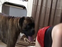 Dog Xxx Animation Gif