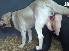 What Is Dog Xxx