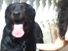 Animal Horse Porn Video