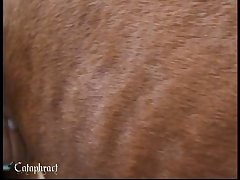 Melhor Video De Sexo
