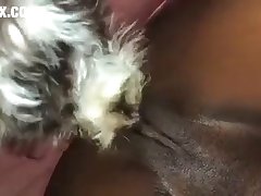 Dog Fucks Teen