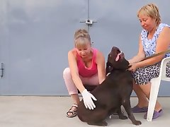Asian Dog Porn