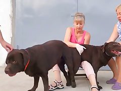 Asian Dog Porn