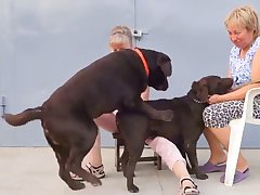 Asian Dog Porn