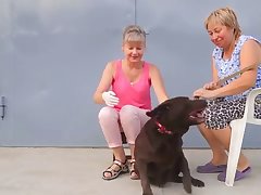 Asian Dog Porn