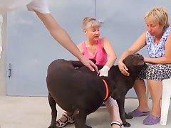 Asian Dog Porn
