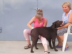 Asian Dog Porn
