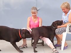 Asian Dog Porn