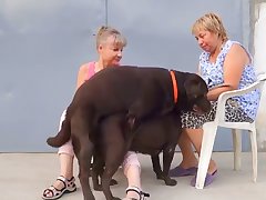 Asian Dog Porn