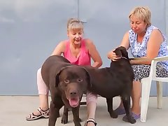 Asian Dog Porn