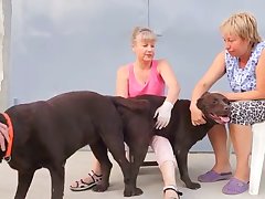 Asian Dog Porn
