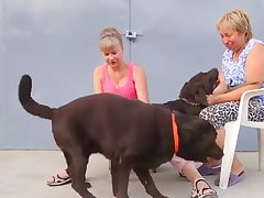 Asian Dog Porn