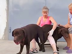 Asian Dog Porn