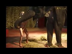Milly Amorim  Elephant (part 14)