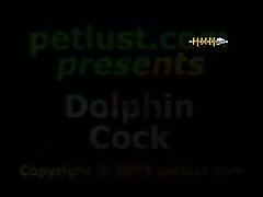 Dolphin Cock Petlust