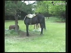 Bfi First Horse Experience [animal Passion] 007
