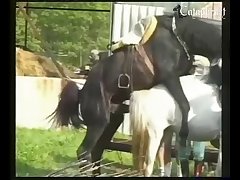 Bfi First Horse Experience [animal Passion] 012